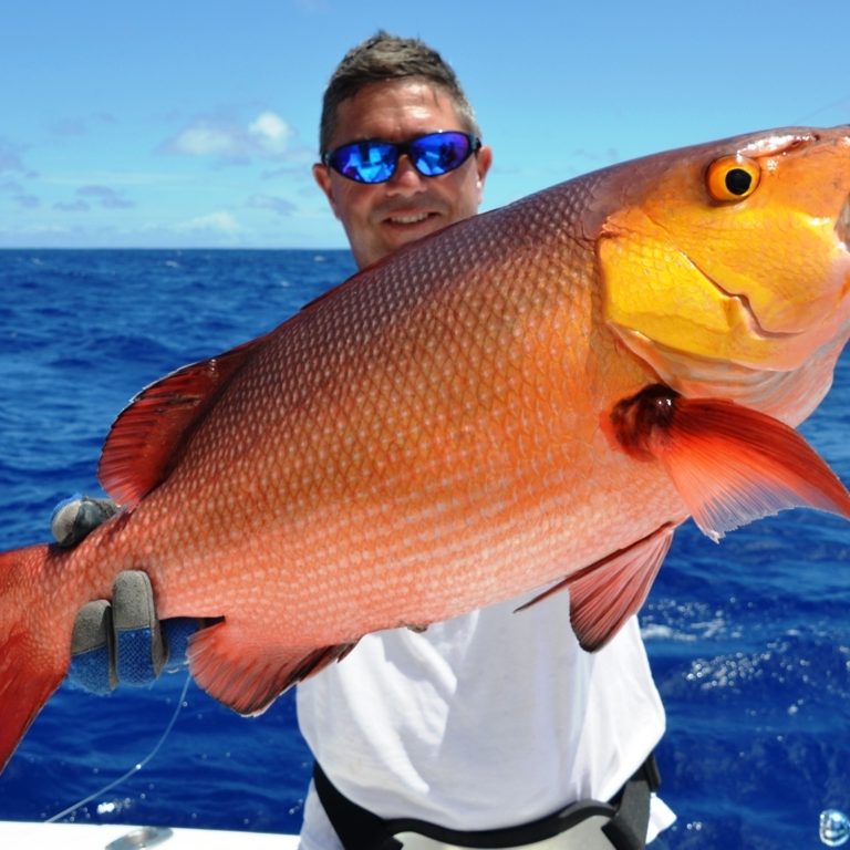 Crimson Jobfish or Pristipomides filamentosus - Rod Fishing club