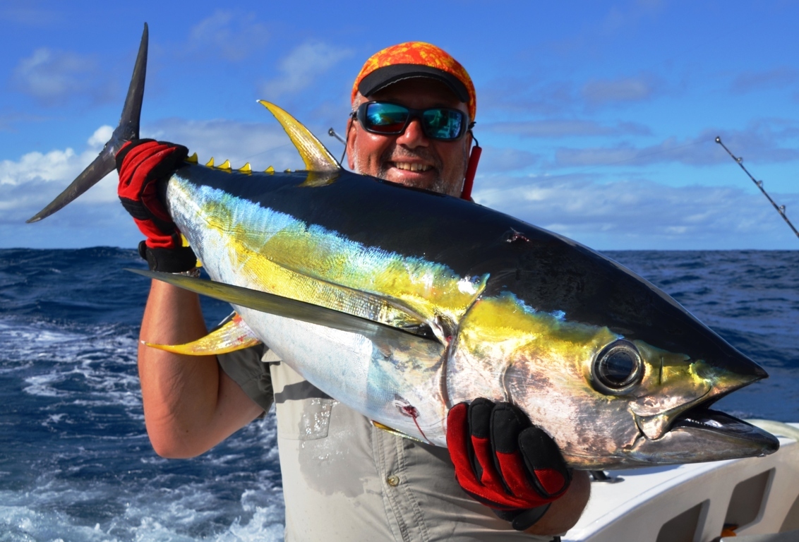 Yellowfin Tuna рыба