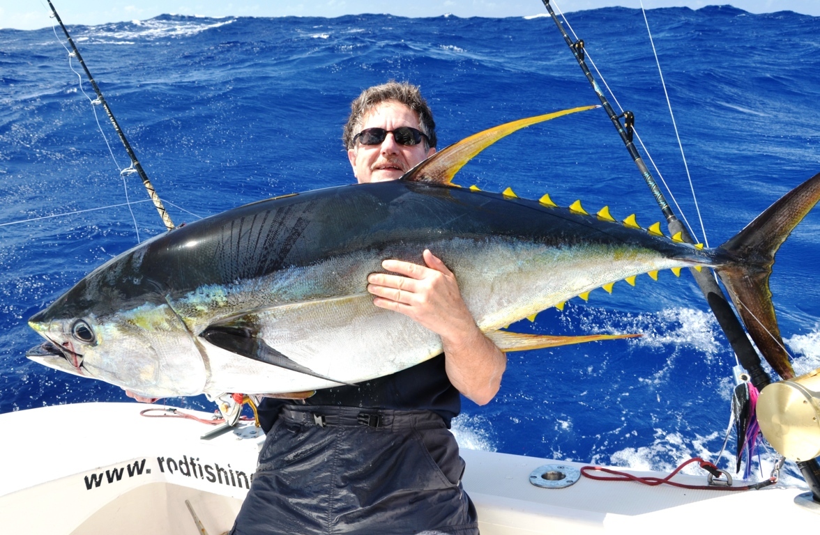 https://www.rodfishingclub.com/wp-content/uploads/2016/09/50kg-YellowFin-Tuna-on-heavy-spinning-Rod-Fishing-Club-Rodrigues-Island-Mauritius-Indian-Ocean.jpg