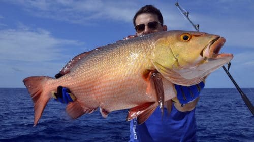 Carpe rouge en peche a l appat par Xavier - www.rodfishingclub.com - Rodrigues - Maurice - Ocean Indien