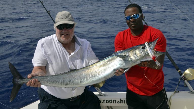 deep blue shark tracking 2019